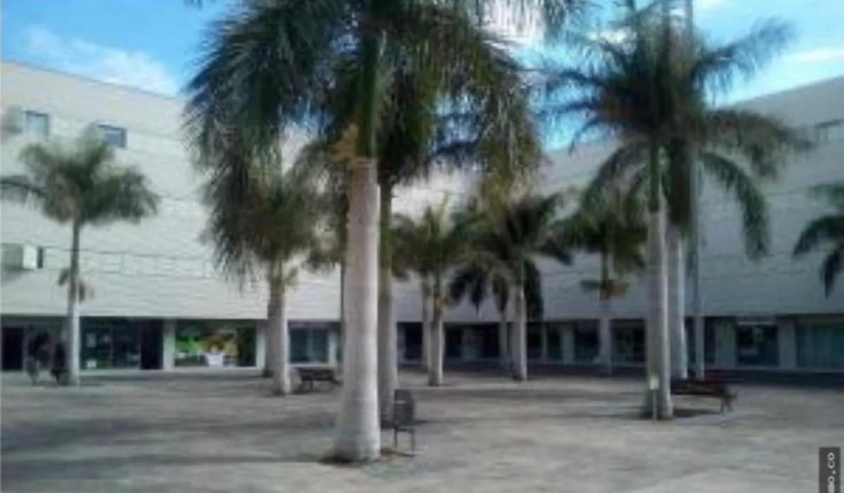 Image 5 of DREAM CURTIDOS