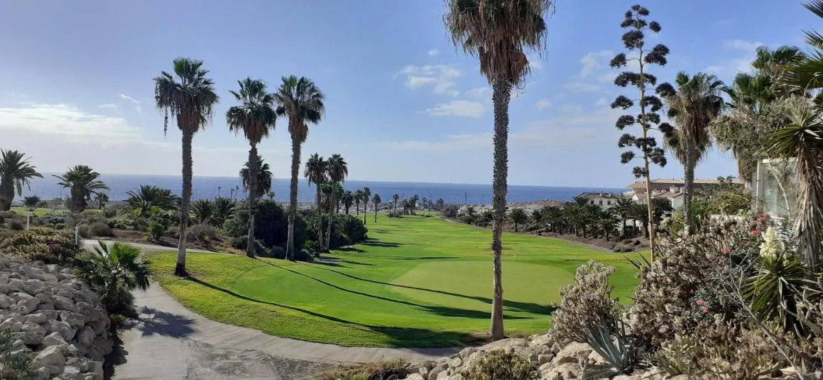 Image 6 of Edificio Cañadas