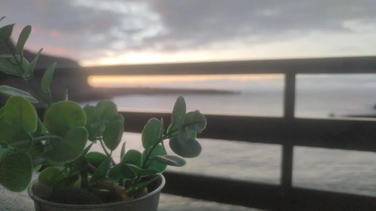 Image 2 of Estudio al Mar