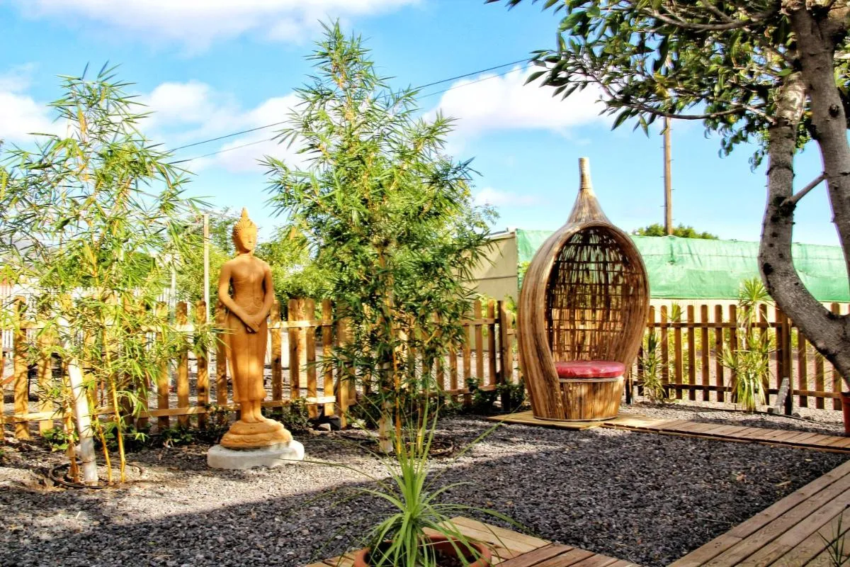 Image 6 of FINCA BEROLO 4