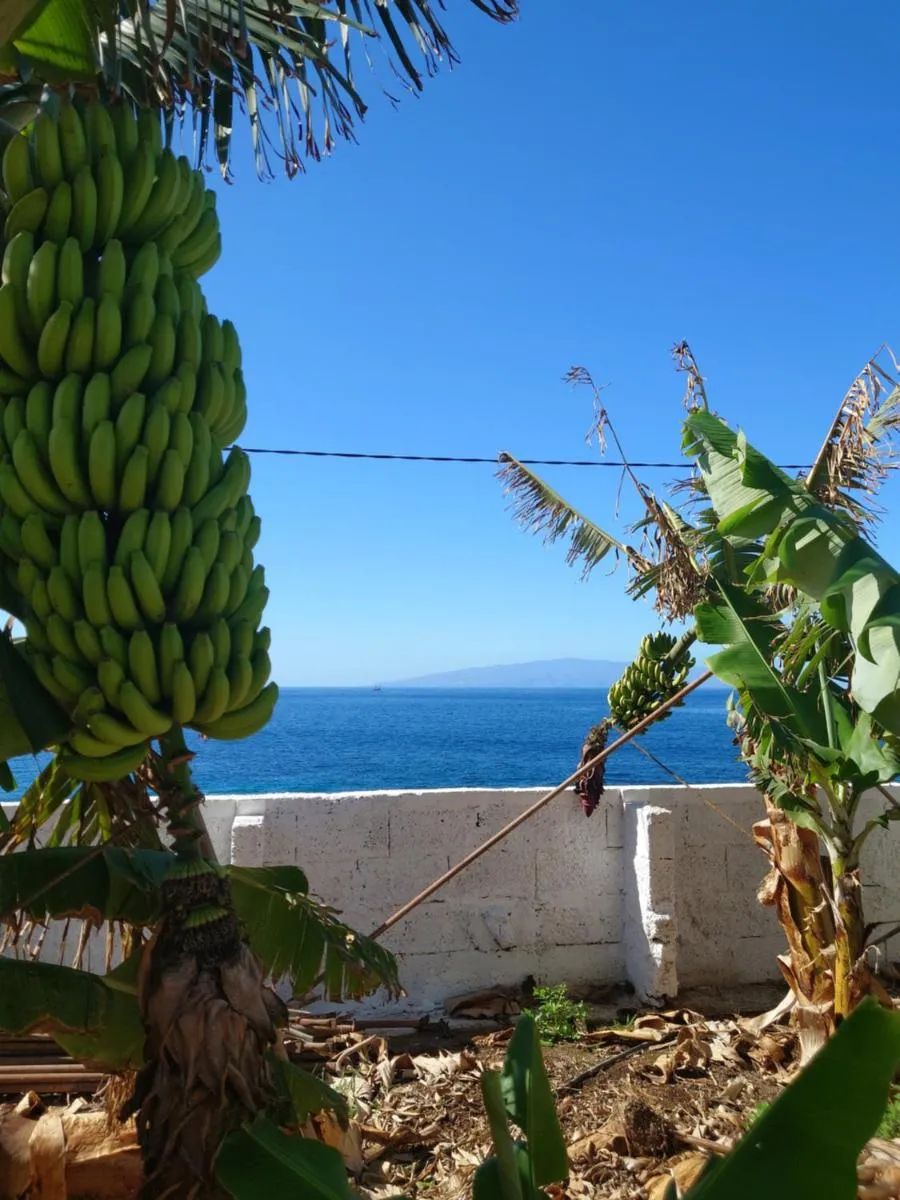 Image 5 of Finca Don Victor