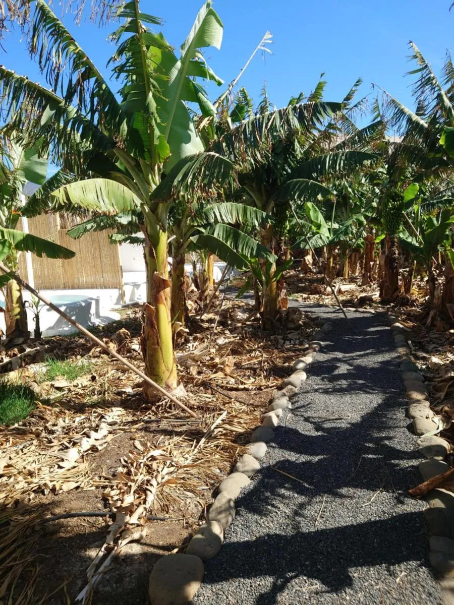 Image 3 of Finca Don Victor