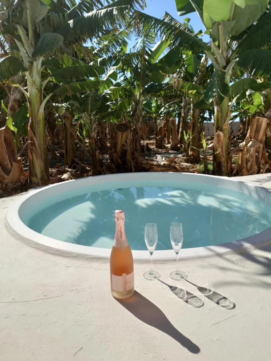 Image 2 of Finca Don Victor