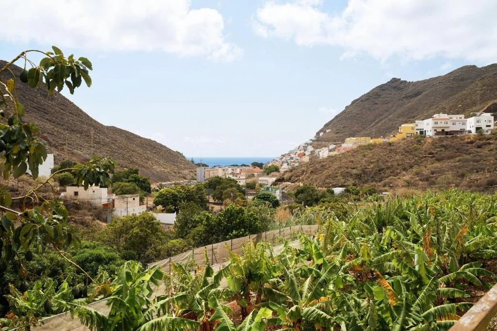 Image of Finca Ecológica Quinta los Tizones, Casa Mango