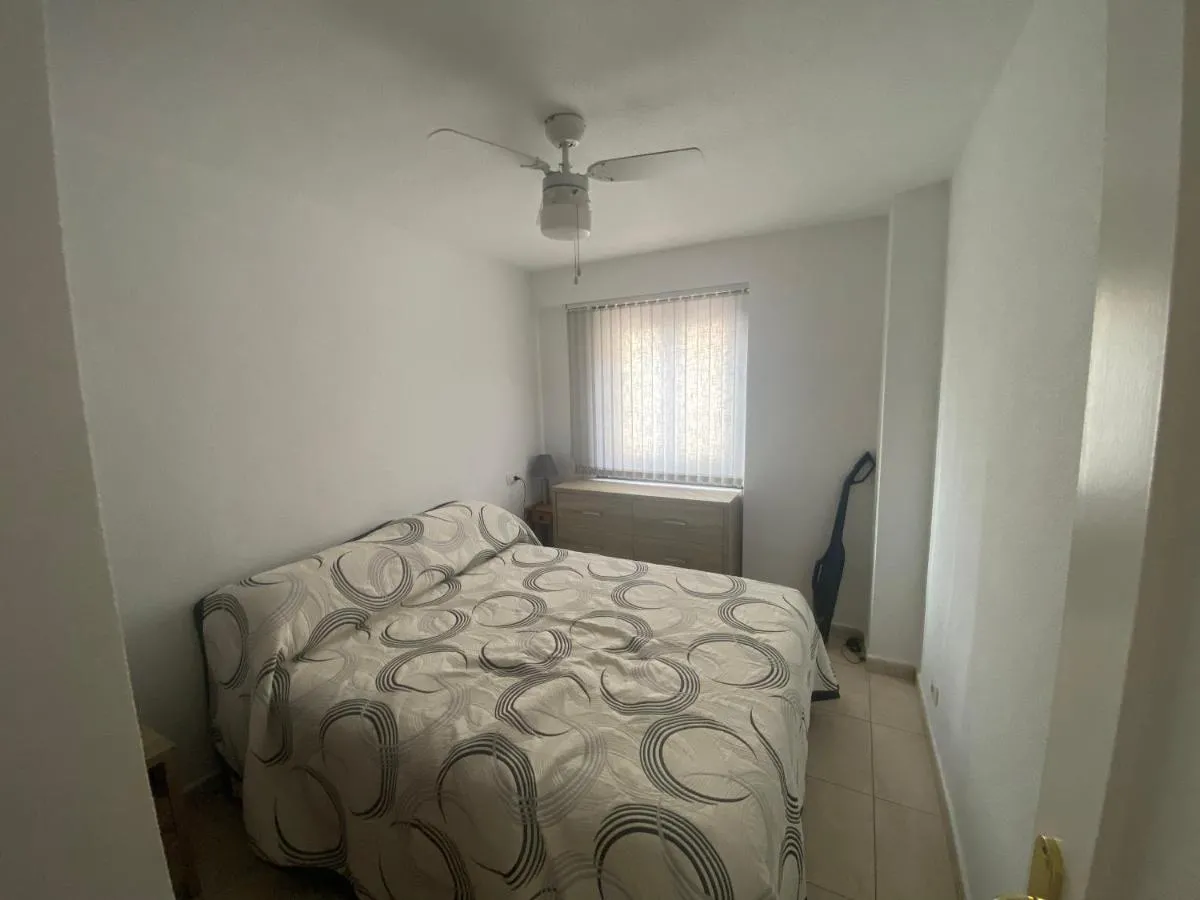 Image 1 of Flamingo Palm-Mar