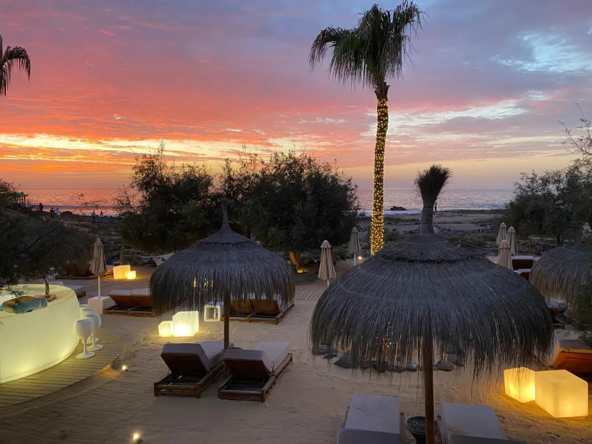 Image 5 of Flamingo Palm-Mar