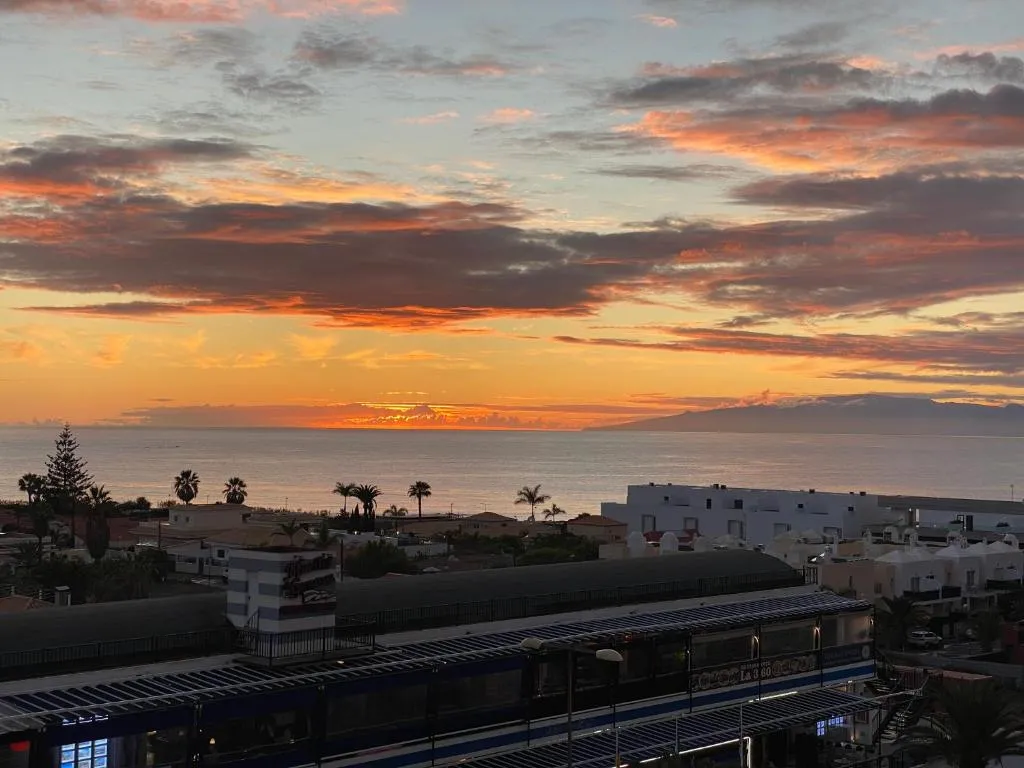 Image of Flamingo Palm-Mar