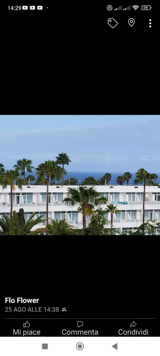 Image 6 of Garden City