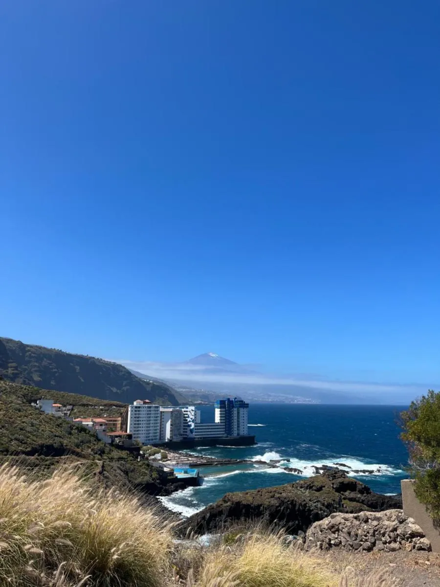 Image 2 of Holiday Feel B – Studio