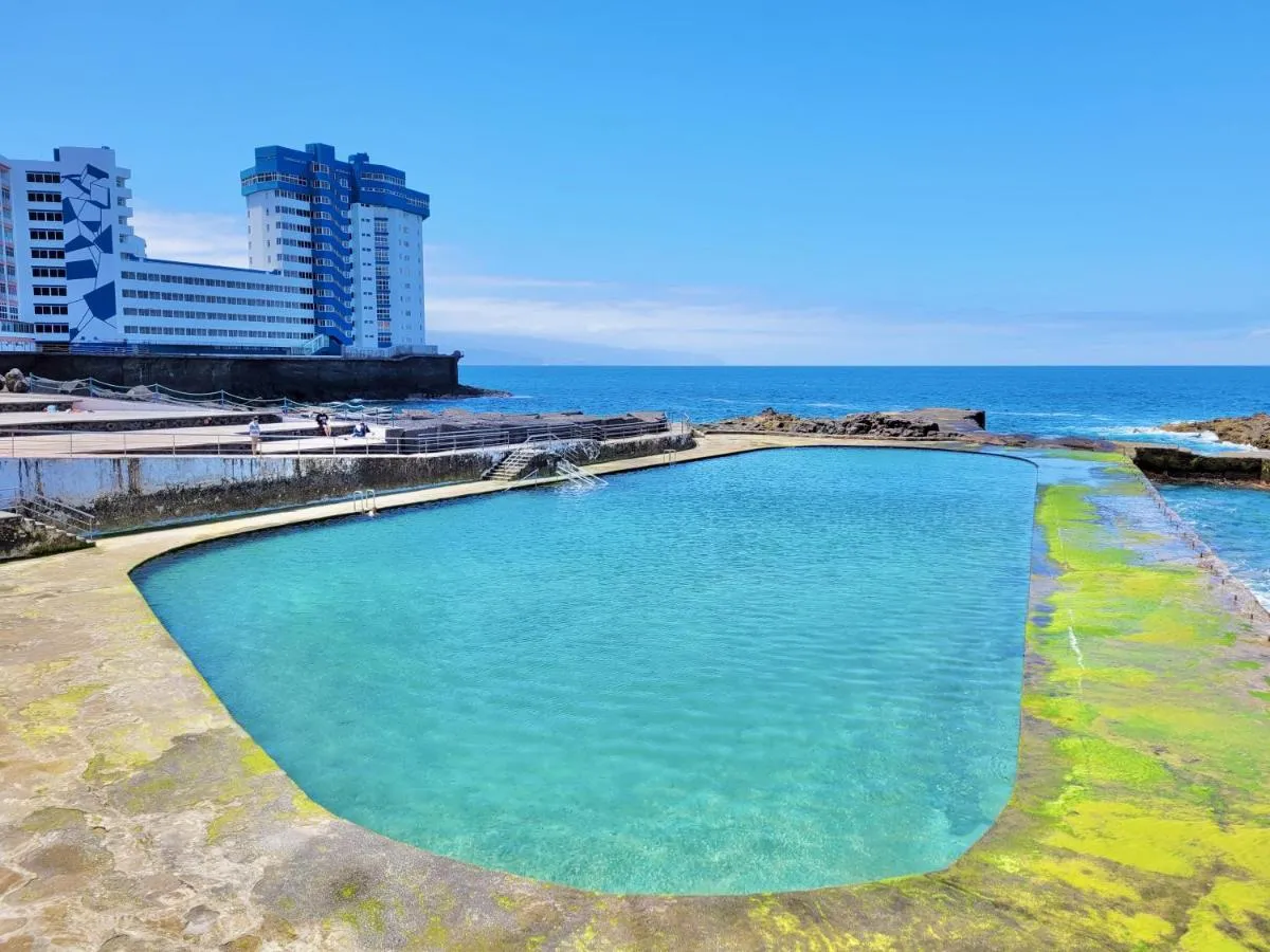 Image 1 of Holiday Feel C- Studio