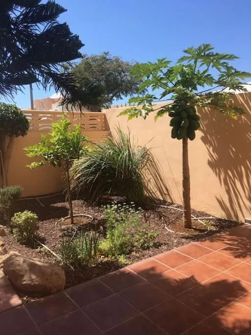 Image 5 of Independiente estudio en acogedora casita de Mai