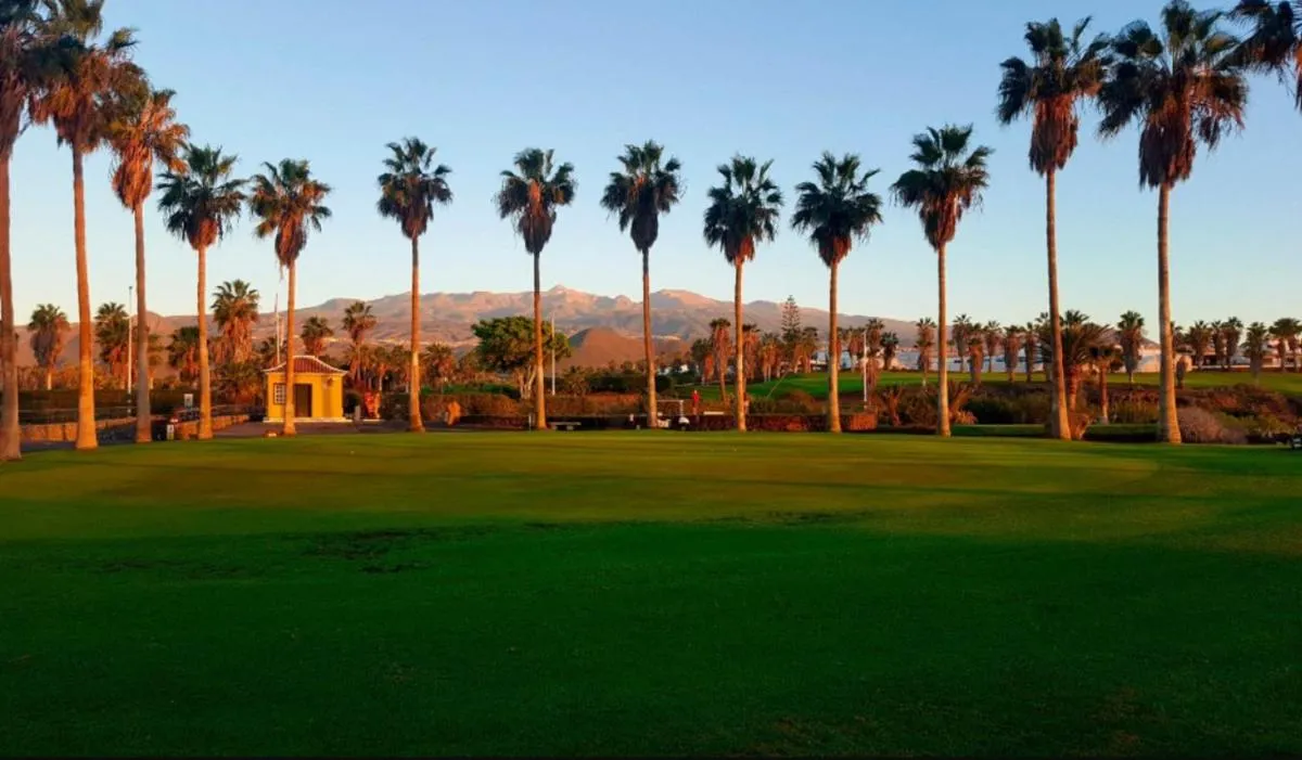 Image 2 of Infinity summer