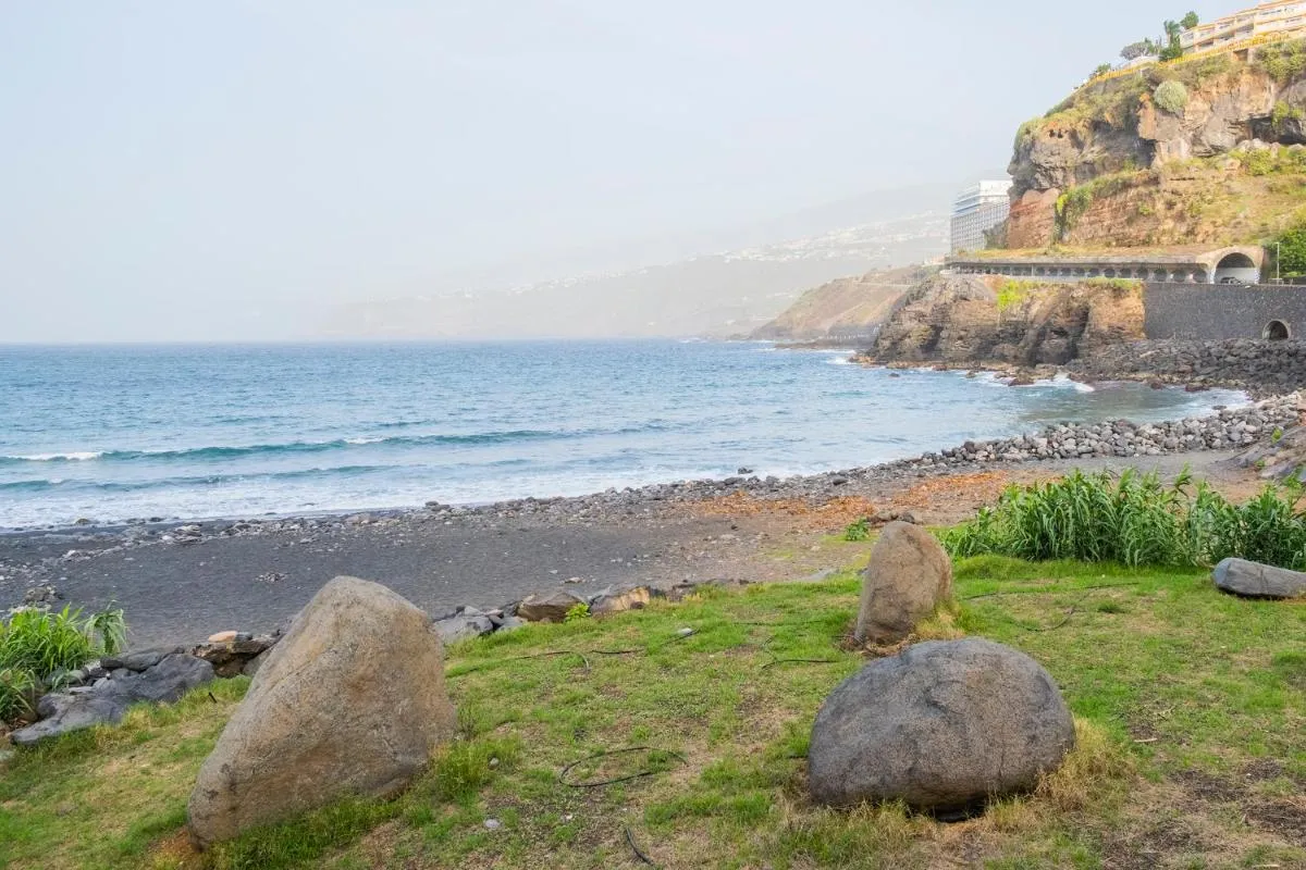 Image 1 of Live puerto de la cruz las palmeras