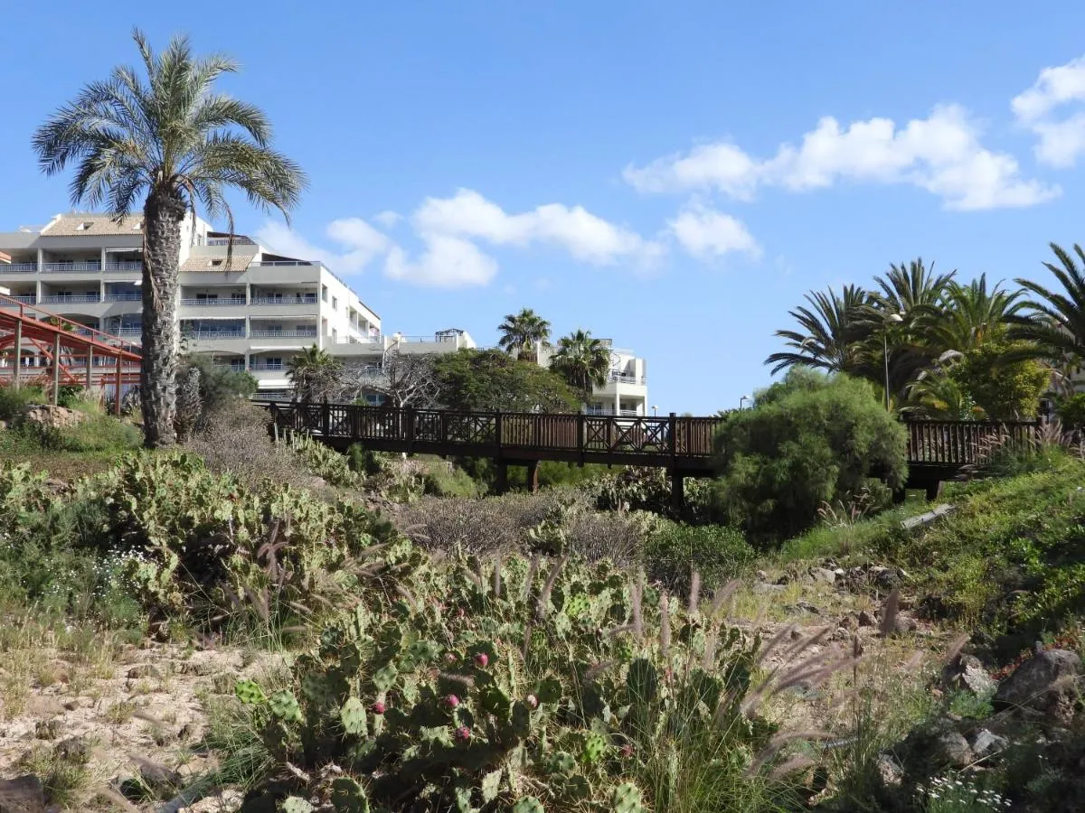Image 6 of Luminoso y Elegante, piscinas y pistas de pádel