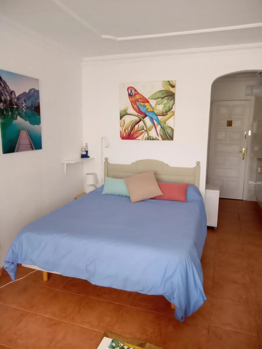 Image 6 of Luminoso y tranquilo estudio zona Botánico