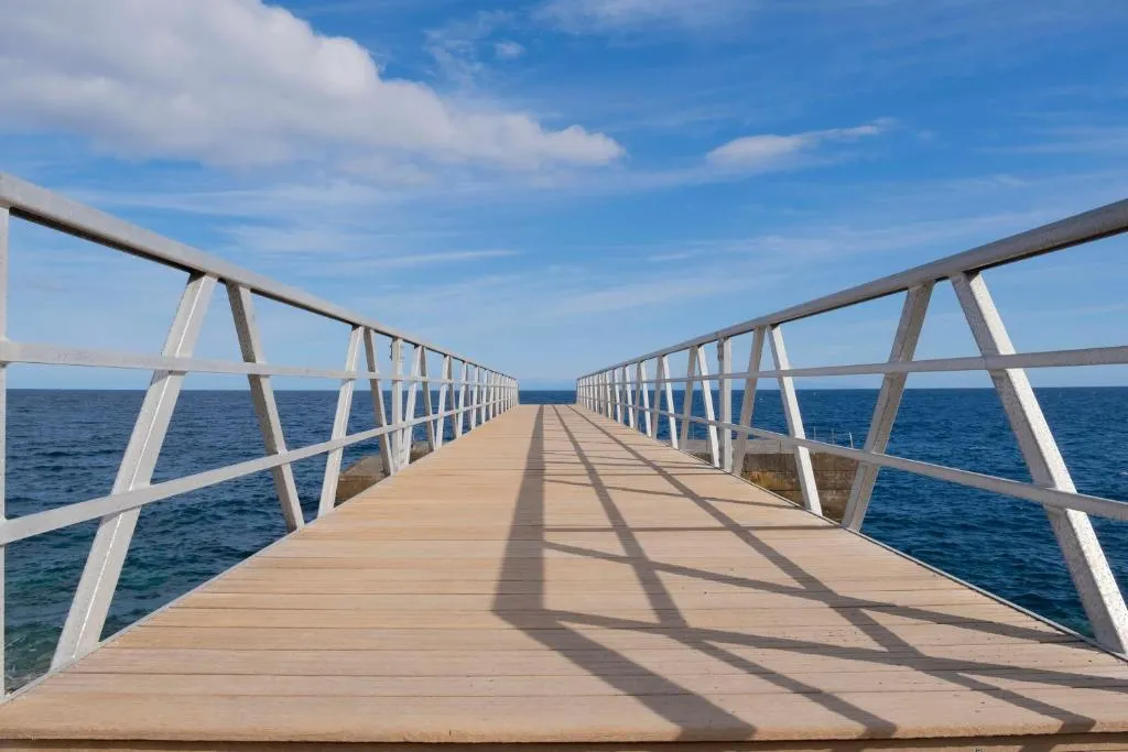 Image of Mandarina 5