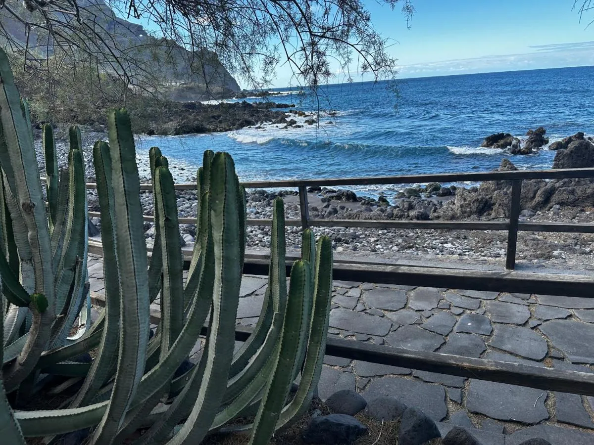 Image 2 of Maravilla en Buenavista