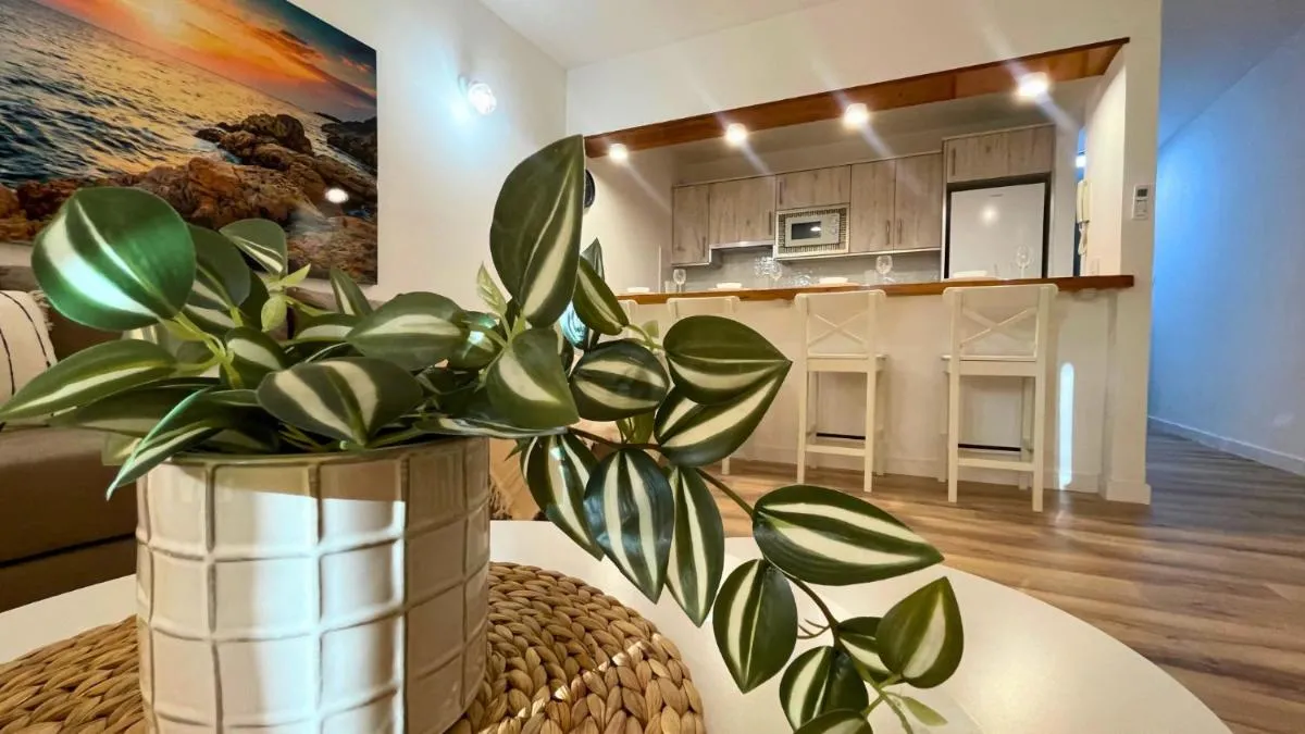 Image 4 of MarketHome Neptuno Beach Front 1BDR Apartment