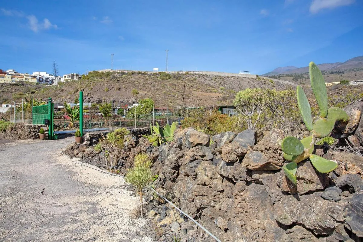 Image 4 of Minipiso Rural Guía de Isora