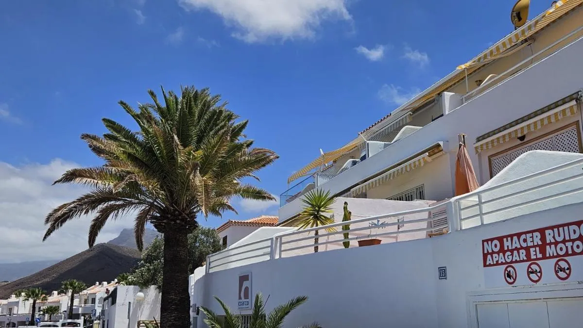 Image 6 of Oasis del sur, sea view los cristianos