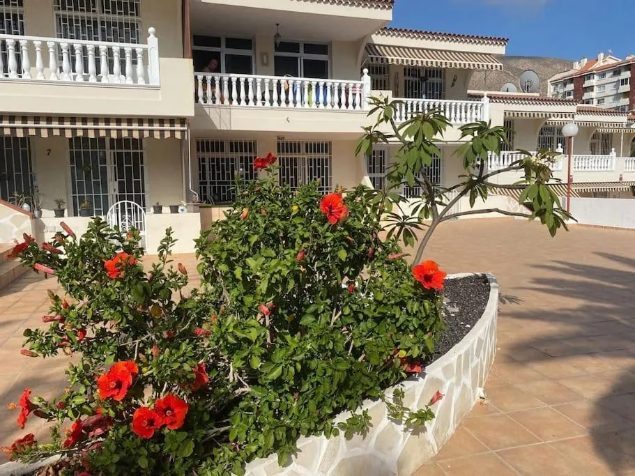Image 6 of Oasis de tranquilidad y estilo en Los Cristianos de Membrillo Suites