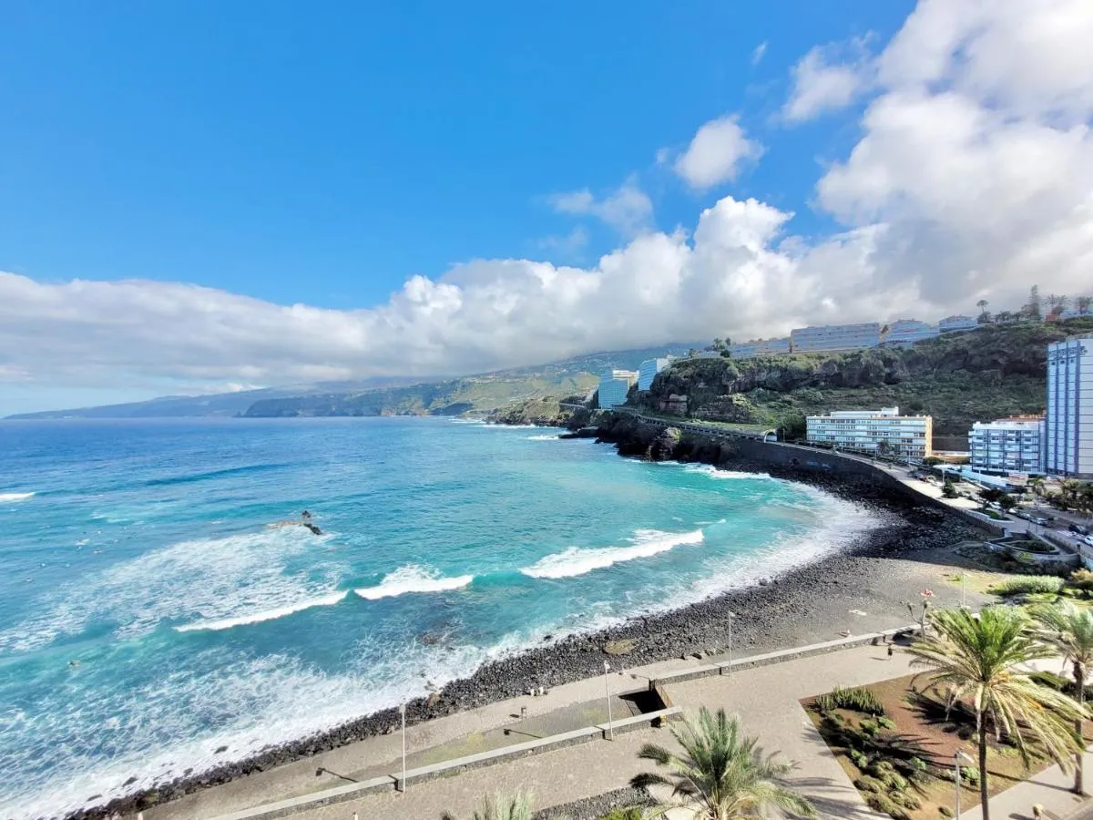 Image 3 of Palm Avenue – Adults Only –