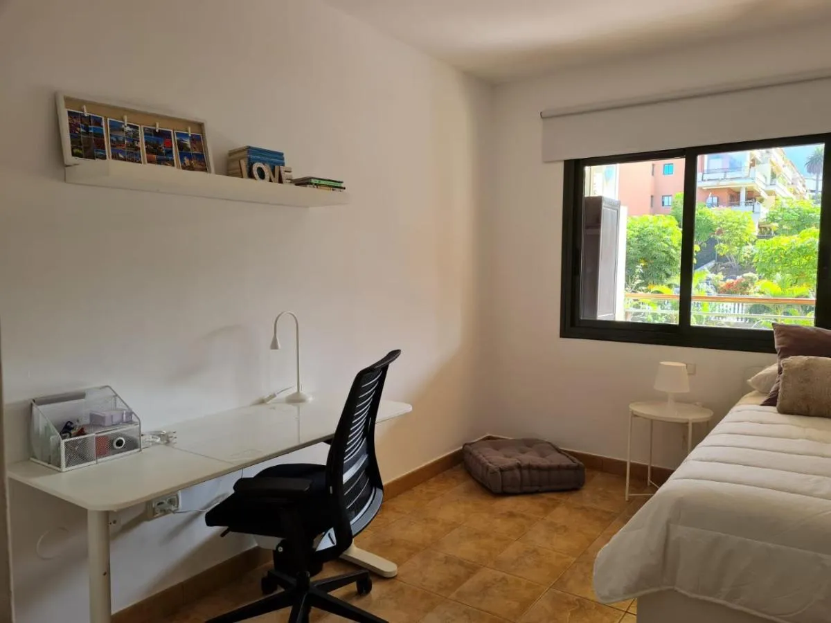 Image 1 of Retama del Teide, Puerto de la Cruz