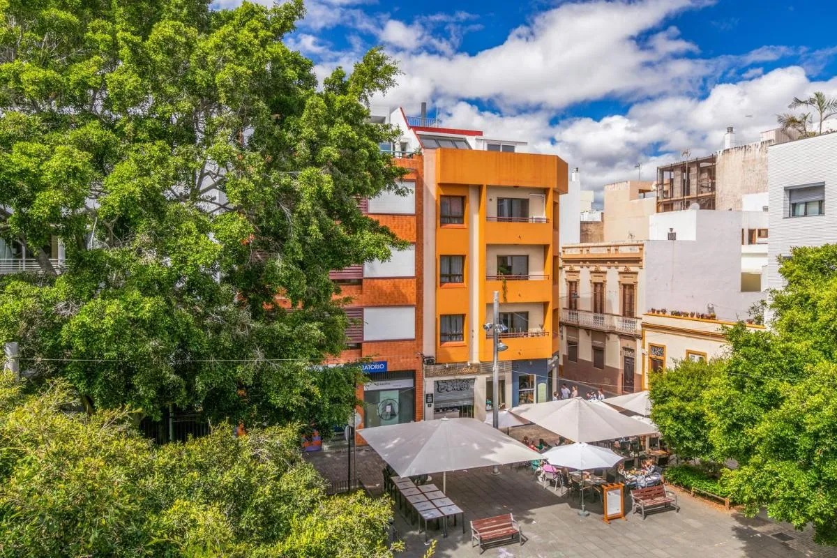 Image 5 of Santa Cruz Art Home