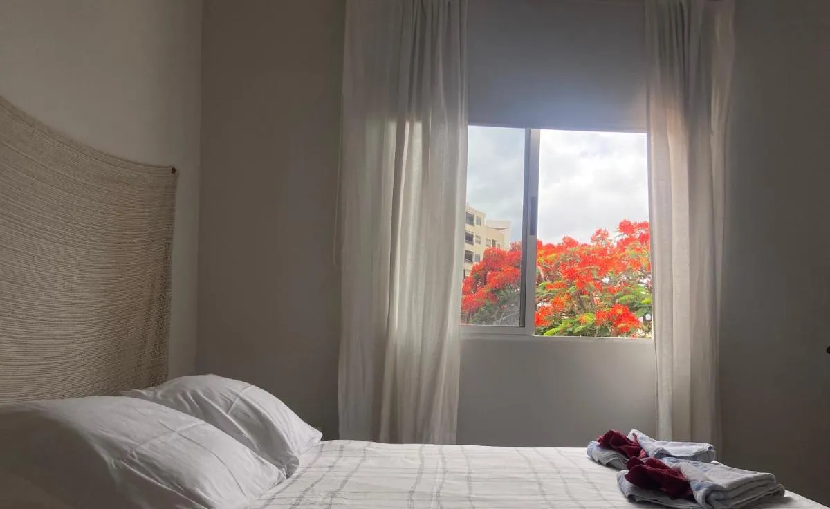 Image 1 of Santa Cruz de Tenerife Toscal