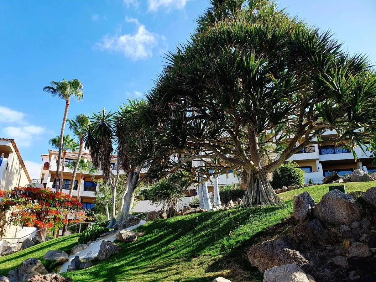 Image 5 of Spacious apartment with private garden in Tenerife south