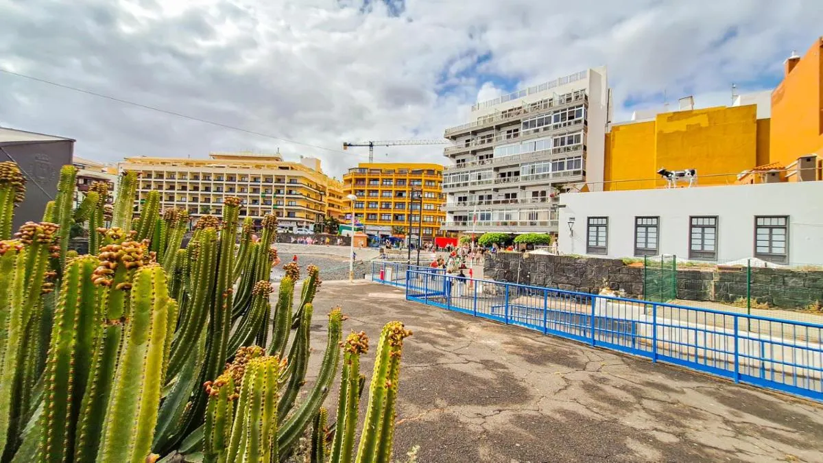 Image 5 of Studio with balcony and sea view