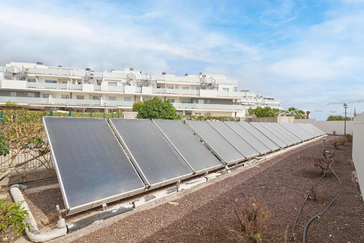 Image 6 of Sunny Tejita