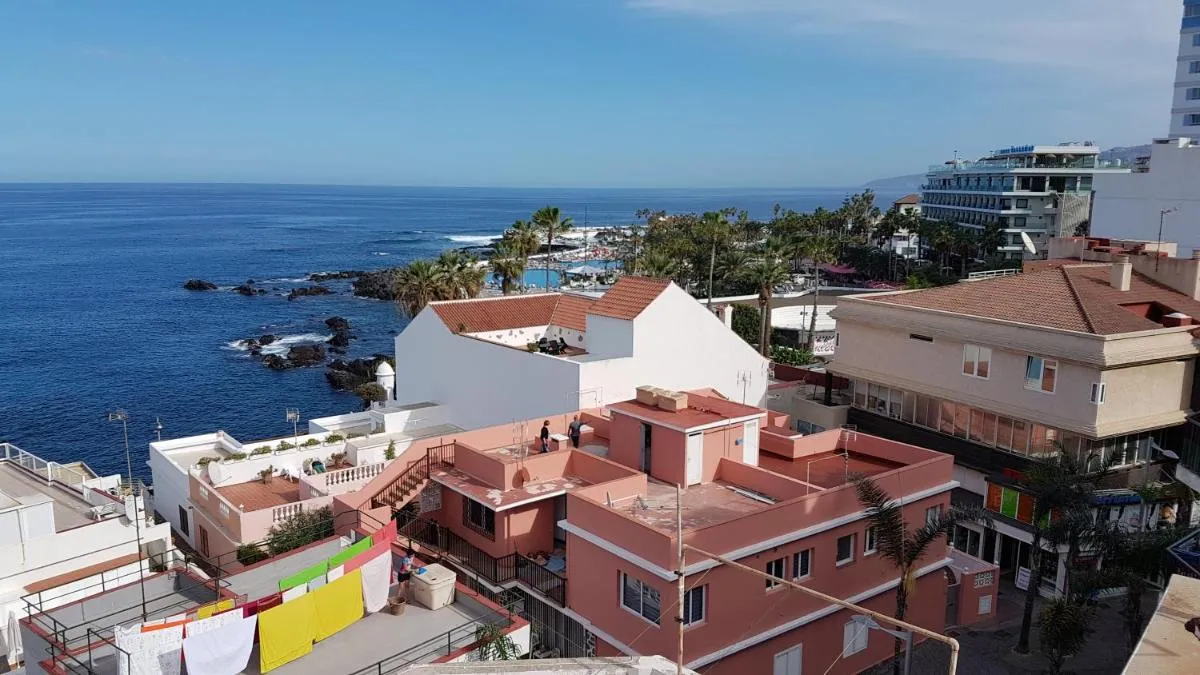 Image 6 of Vista Rosmary