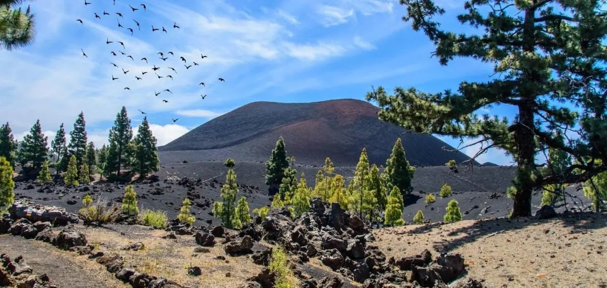 Image 5 of Apartamento A San Jose de los Llanos
