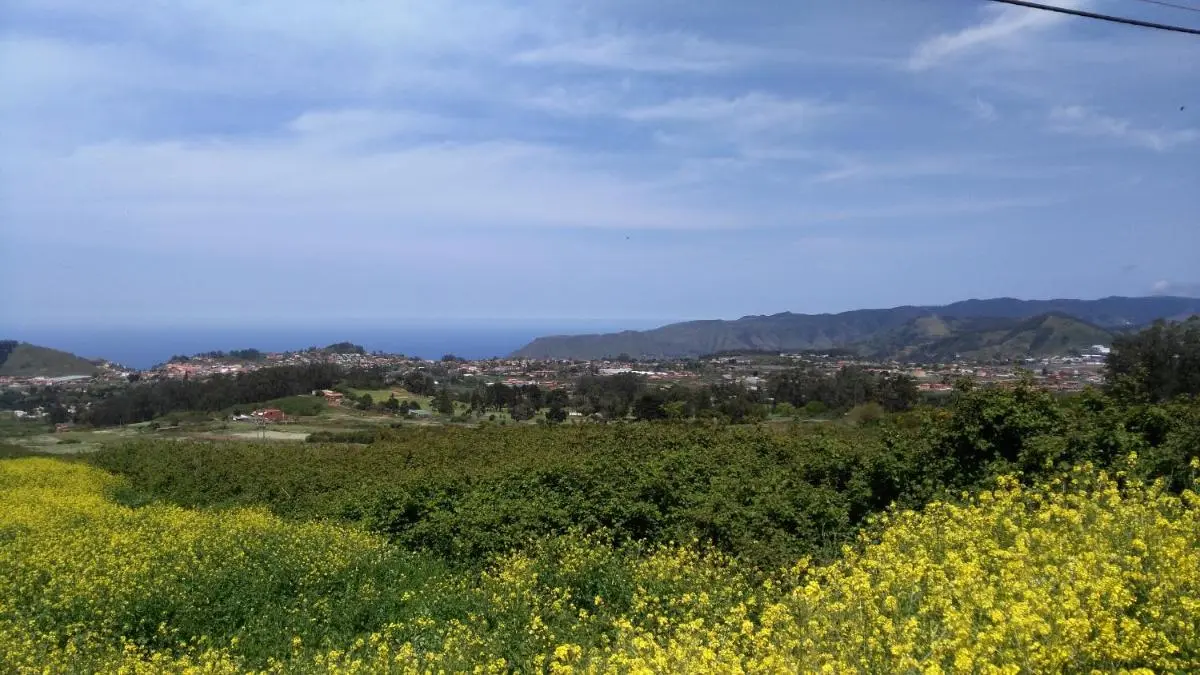 Image 5 of Apartamento con terraza privada y barbacoa