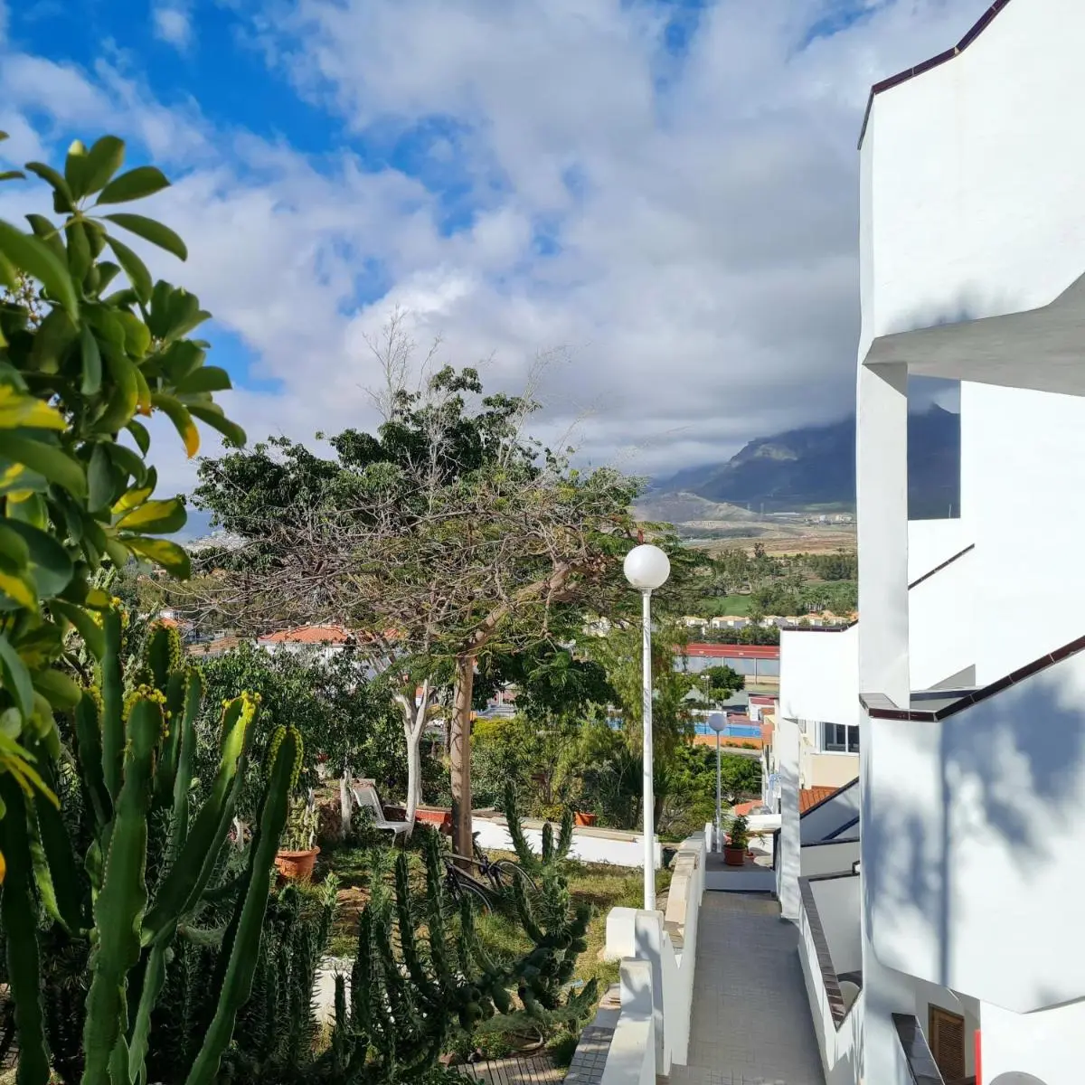 Image 6 of Apartment Montanita