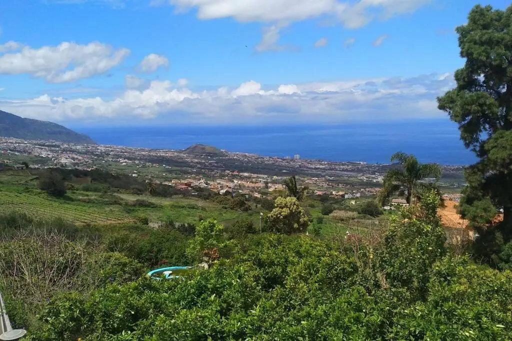 Image of Apartment with Huge Deck Nestled in Marvelous Gardens – Nidos