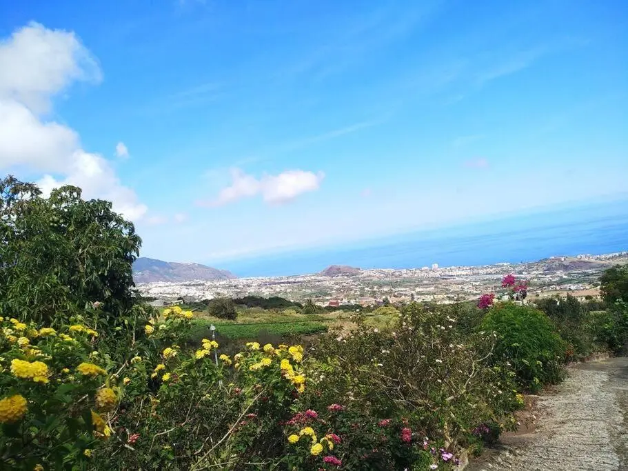 Image 1 of Apartment with Huge Deck Nestled in Marvelous Gardens – Nidos