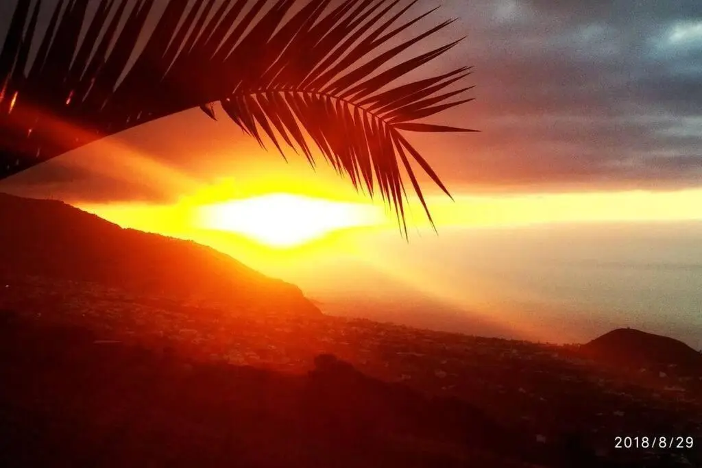 Image 2 of Apartment with Huge Deck Nestled in Marvelous Gardens – Nidos