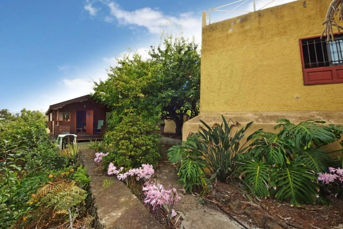 Image 5 of Casa Canarina