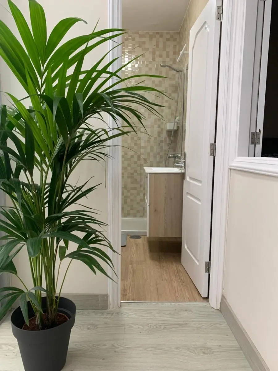 Image 6 of Casa Pablo I Aptº Tranquilo,a cinco minutos del Puerto de la Cruz