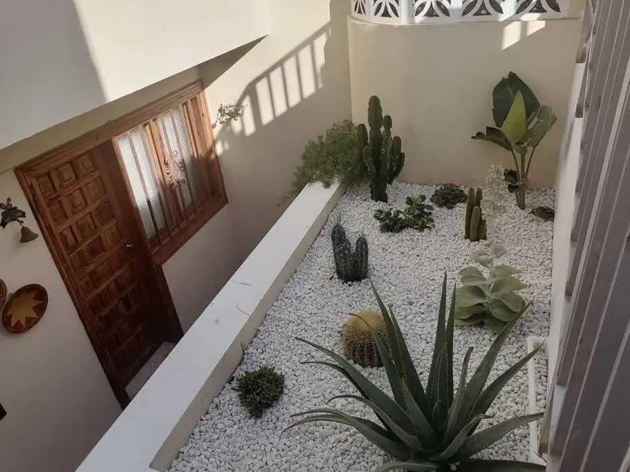 Image of Casa las pencas de margarita