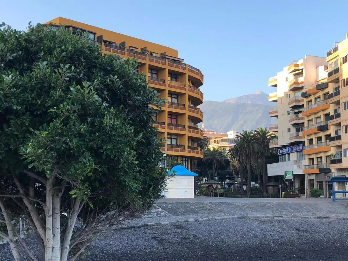 Image 5 of Céntrico y coqueto apartamento