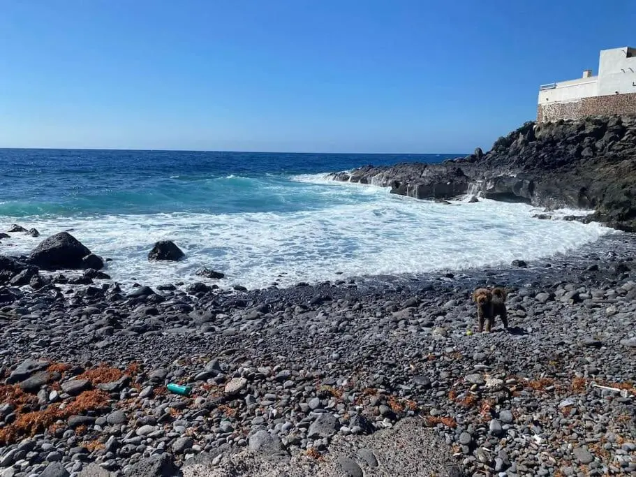 Image 5 of Coqueto piso a 2 min de la playa