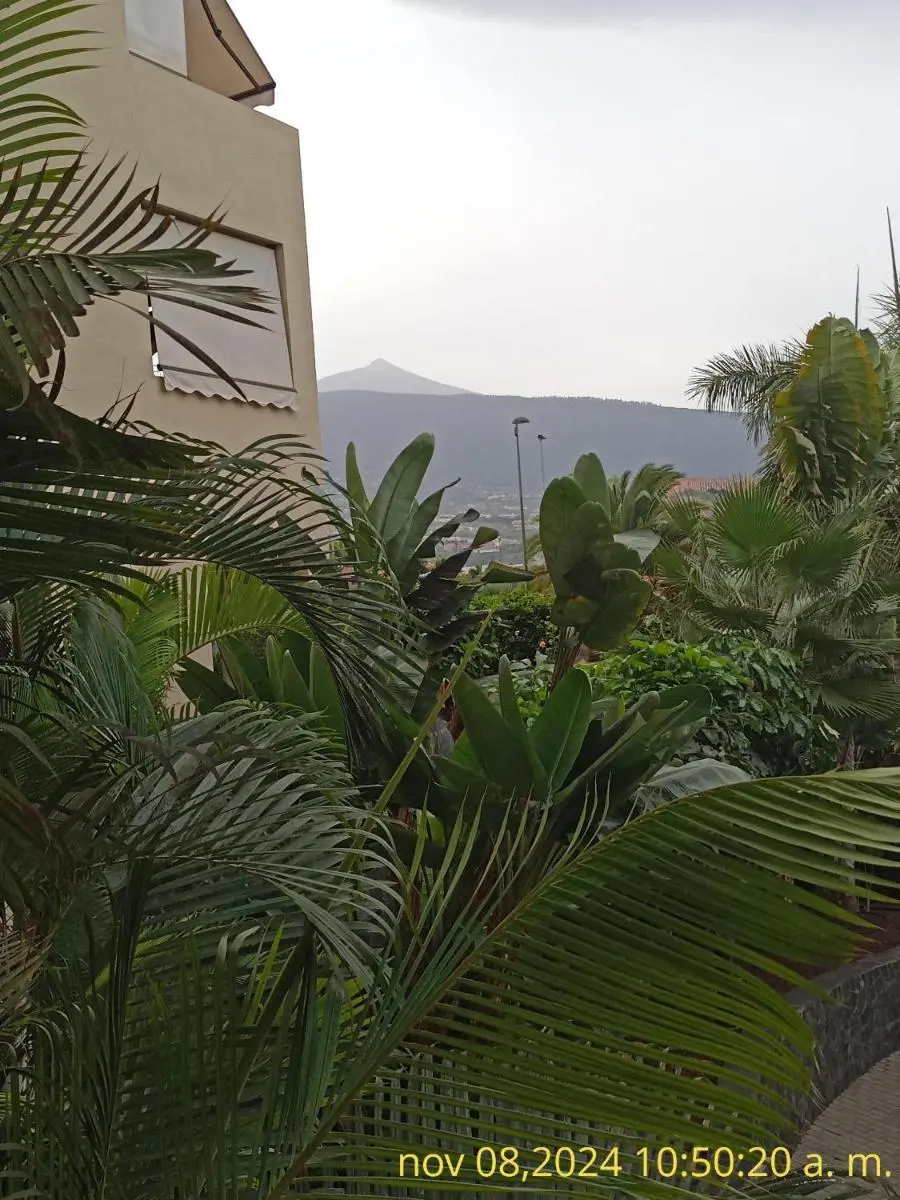 Image 3 of Dulce Paz Puerto de la Cruz