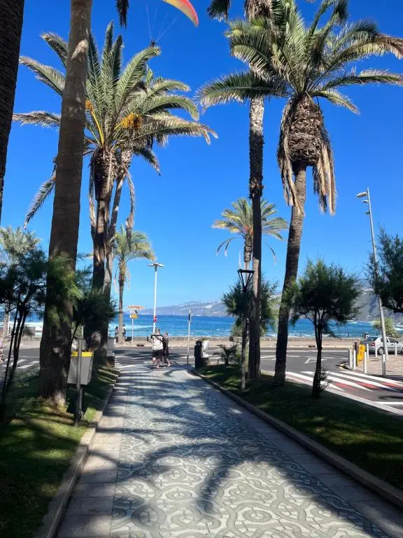 Image of Estudio-SZL