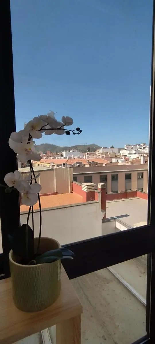 Image 5 of Estudio centro de La Laguna