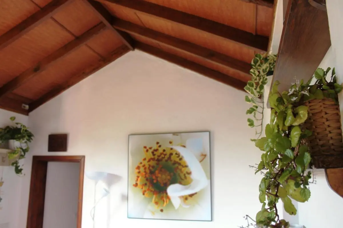 Image 6 of FINCA LA PLANTACIÓN _Agroturismo