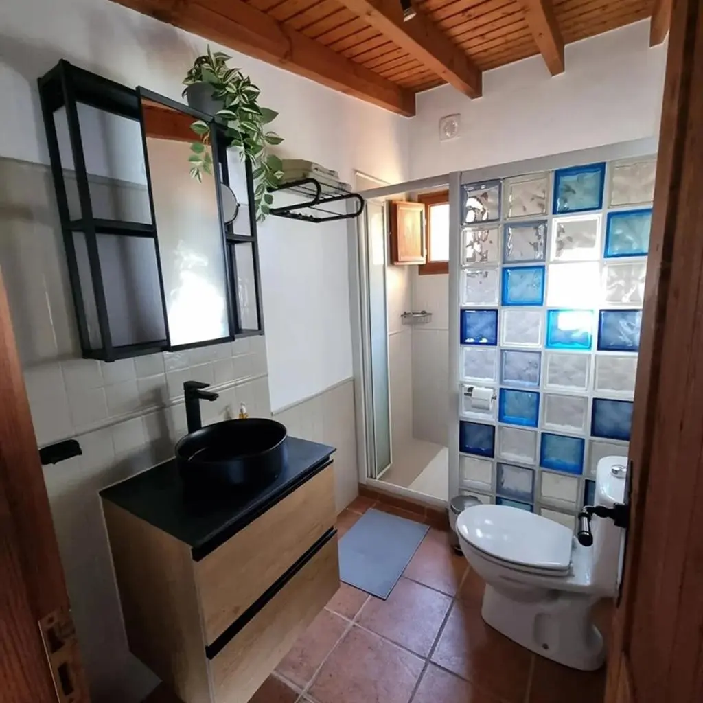 Image 4 of Finca Casa los Dragos