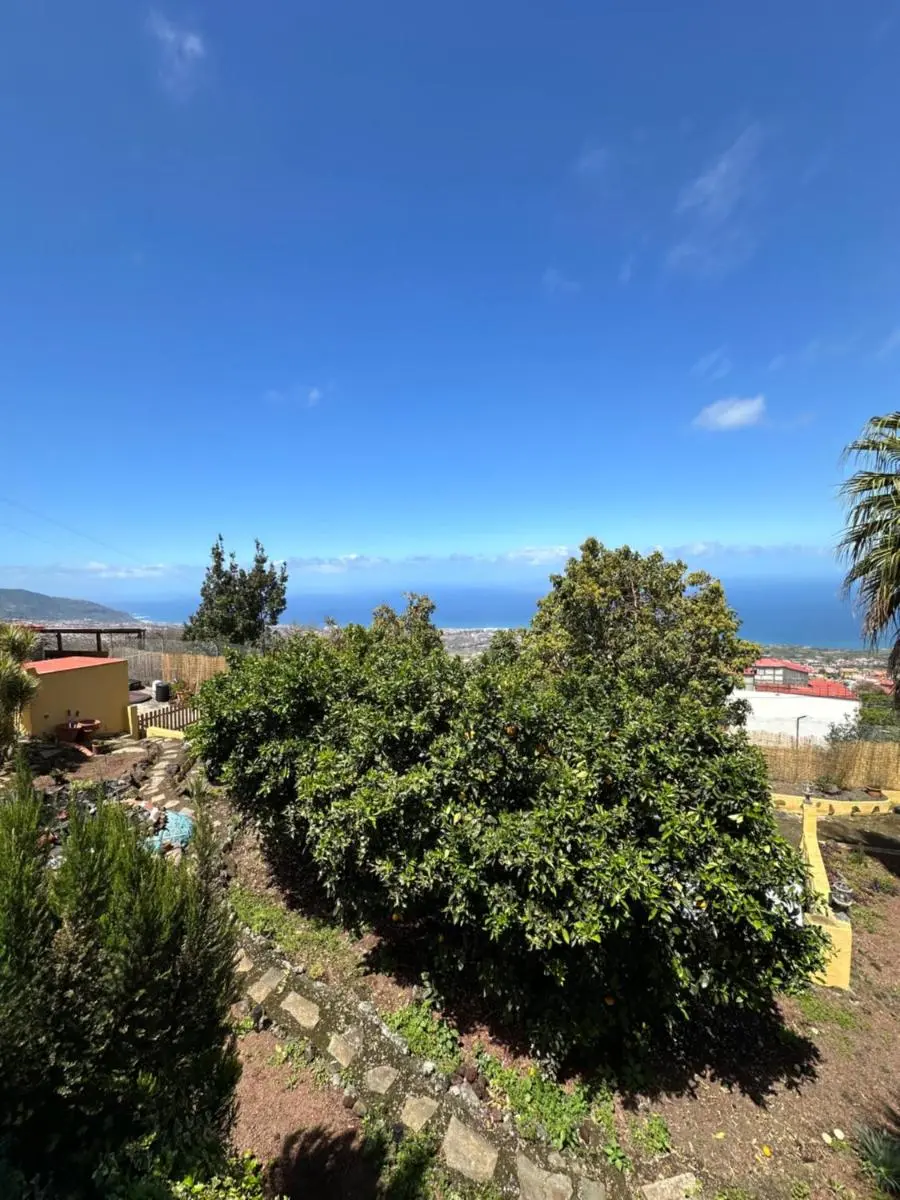 Image 2 of Finca Casa los Dragos